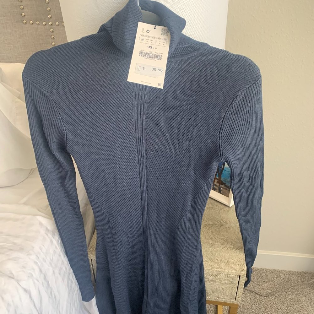 Zara Turtleneck Dress